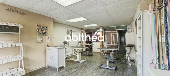 Gebäude in Bethune, France 275m², Nr. 73104 6