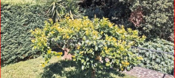 1 غرف نوم شقة في Vado Ligure, Italy رقم 318363 13