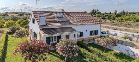 9 bedrooms House in Vila Nova da Baronia, Portugal No. 191787 45
