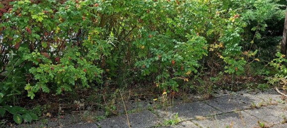 3 bedrooms Apartment in Bayreuth, Germany No. 370844 14