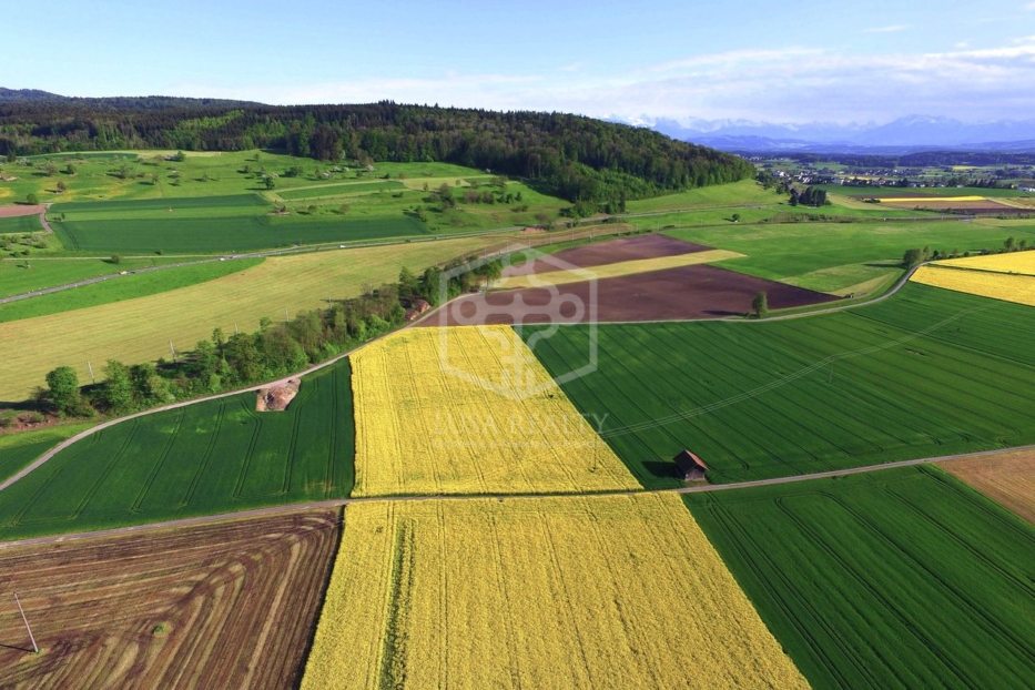  Land in Caceres, Spain No. 290998