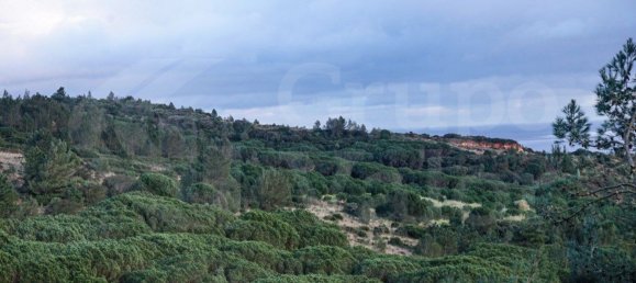  قطعة أرض في Vialonga, Portugal 7920متر مربع رقم 80853 4