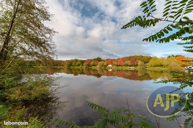 4 chambres Maison à Le Gâvre, France No. 95937