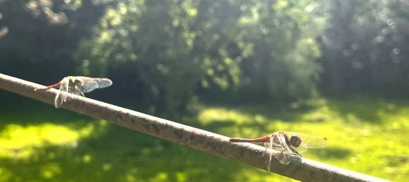 Casa T2 em Wesermarsch, Germany N.º 326429 15