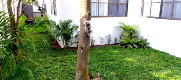 3 bedrooms Cafe / restaurant in Pattaya, Thailand No. 3674 29