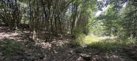 Casa T6 em Occitanie, France N.º 332170 6