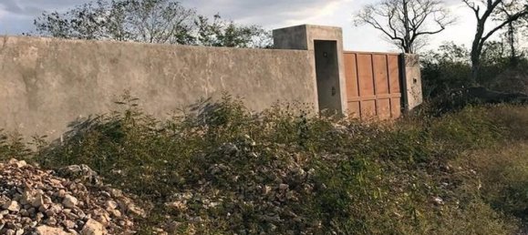 Grundstück in Merida, Mexico, Nr. 119997 2