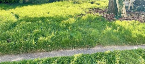 2 chambres Maison à Saint-Porchaire, France No. 100967 17