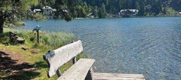 Casa de 6 habitaciónes en Reichenau, Austria No. 189707 4