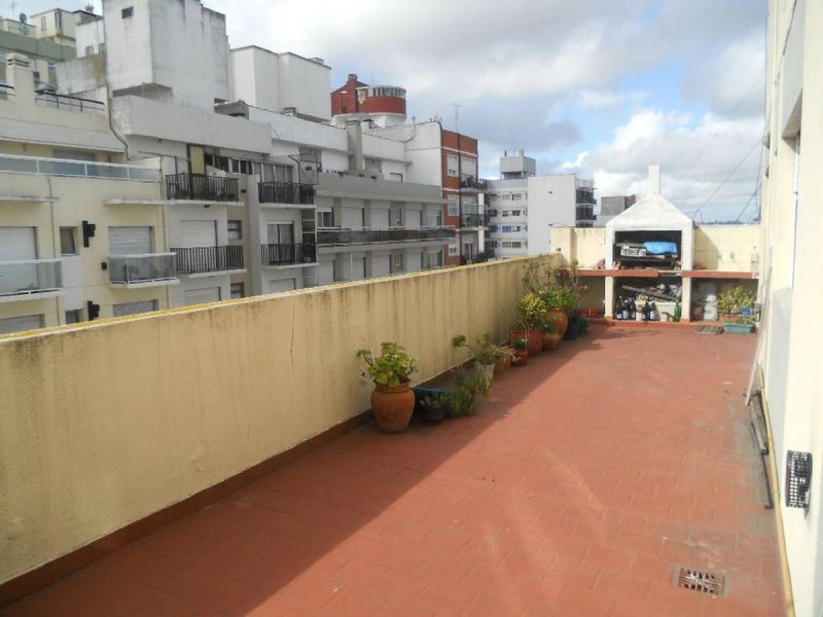 3 bedrooms Apartment in Mar del Plata, Argentina No. 102517