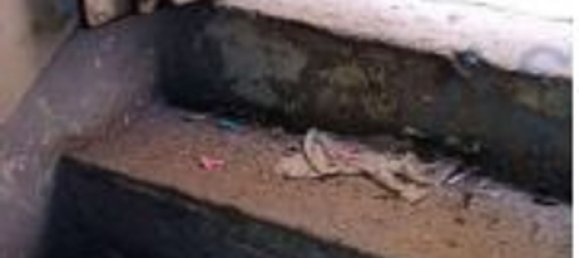 2 rooms Apartment in Naples, Italy No. 185496 19