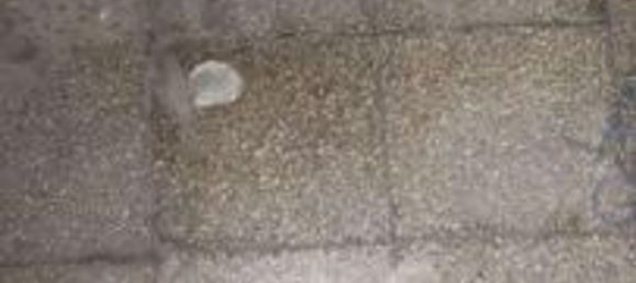 2 rooms Apartment in Naples, Italy No. 185496 5