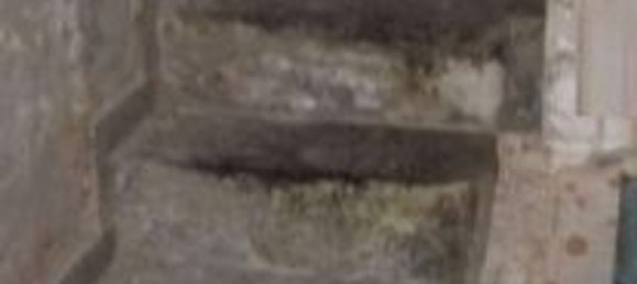 2 rooms Apartment in Naples, Italy No. 185496 3