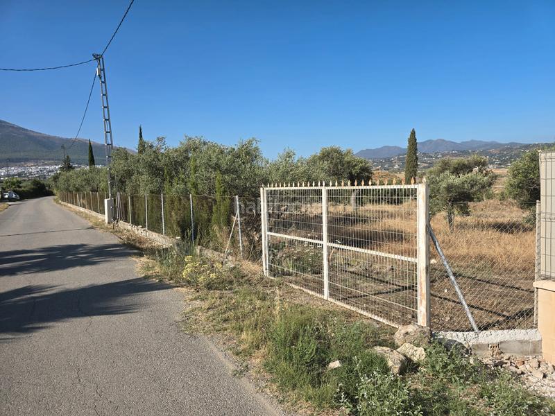 Земельный участок 12894м² в Алаурин-эль-Гранде, Испания № 218454