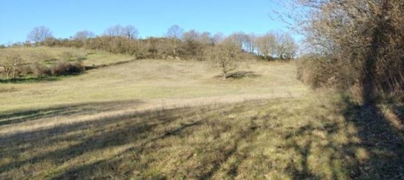 31499m² Land in Vejano, Italy No. 151775 46