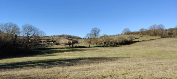 31499m² Land in Vejano, Italy No. 151775 48