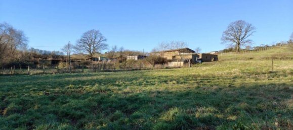 31499m² Land in Vejano, Italy No. 151775 34