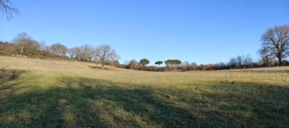 31499m² Land in Vejano, Italy No. 151775 38