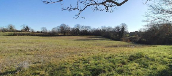 31499m² Land in Vejano, Italy No. 151775 8