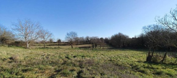 31499m² Land in Vejano, Italy No. 151775 28