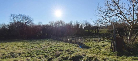 31499m² Land in Vejano, Italy No. 151775 13