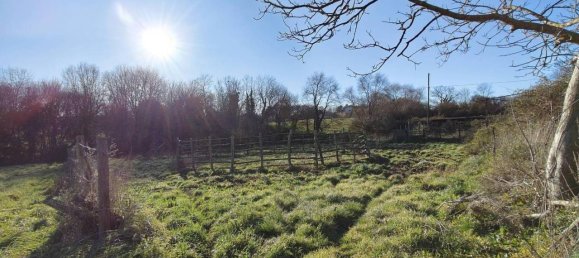 31499m² Land in Vejano, Italy No. 151775 31