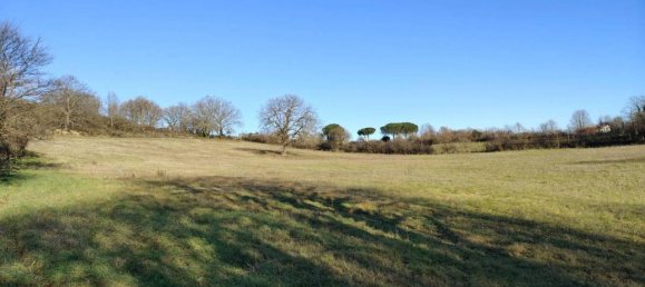 31499m² Land in Vejano, Italy No. 151775 36