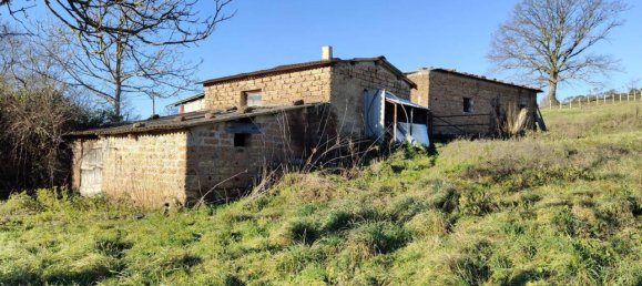 31499m² Land in Vejano, Italy No. 151775 29