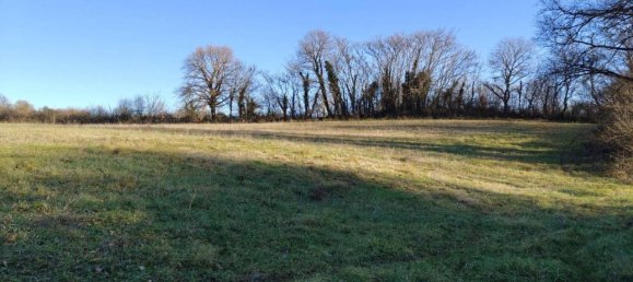 31499m² Land in Vejano, Italy No. 151775 39