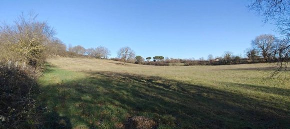 31499m² Land in Vejano, Italy No. 151775 35