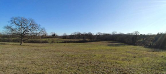 31499m² Land in Vejano, Italy No. 151775 6
