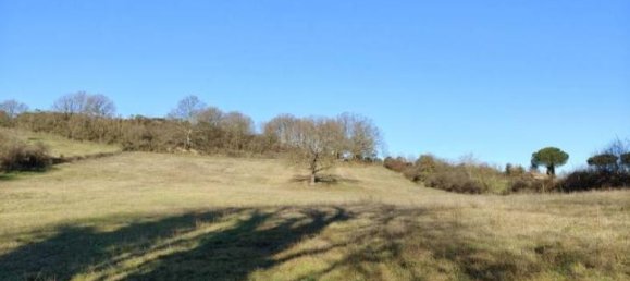 31499m² Land in Vejano, Italy No. 151775 40