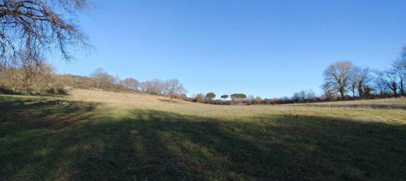 31499m² Land in Vejano, Italy No. 151775 37