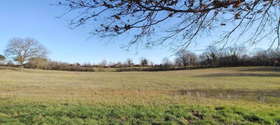 31499m² Land in Vejano, Italy No. 151775 33