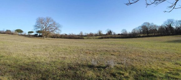 31499m² Land in Vejano, Italy No. 151775 10