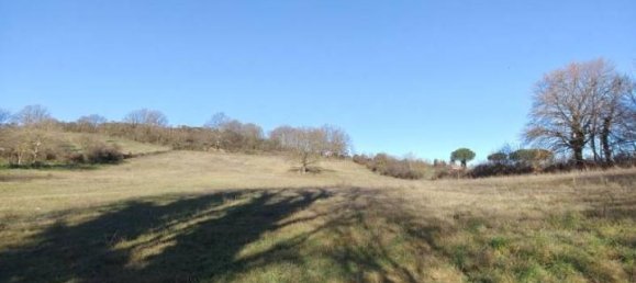 31499m² Land in Vejano, Italy No. 151775 41