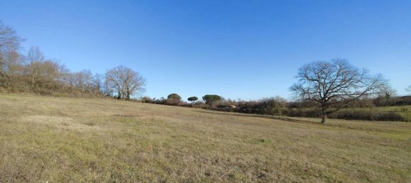 31499m² Land in Vejano, Italy No. 151775 7