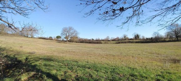 31499m² Land in Vejano, Italy No. 151775 32