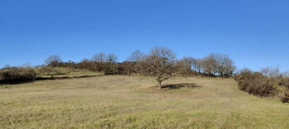 31499m² Land in Vejano, Italy No. 151775 49