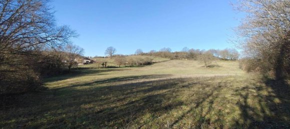 31499m² Land in Vejano, Italy No. 151775 44