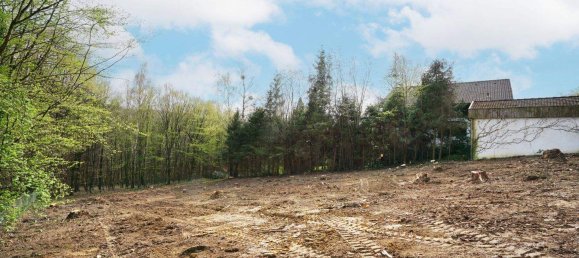 Terreno en Pressbaum, Austria No. 142902 7