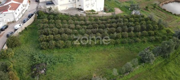 Land in Sao Bartolomeu de Messines, Portugal No. 79302 15