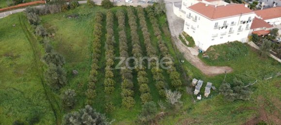 Land in Sao Bartolomeu de Messines, Portugal No. 79302 13