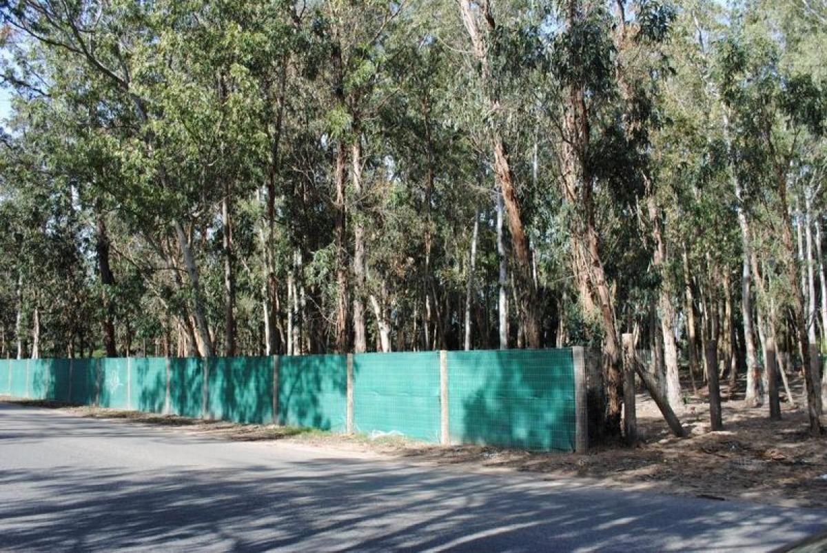 Grundstück in Maldonado, Uruguay, Nr. 15374