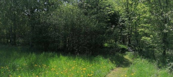 قطعة أرض في Magdalensberg, Austria 1001متر مربع رقم 167103 5