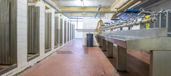 9 Schlafzimmer Gebäude in Loures, Portugal, Nr. 327883 37