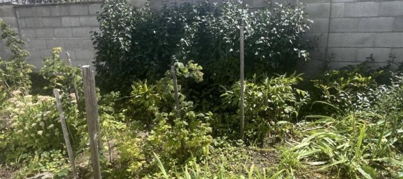 3غرفة منزل في Neusiedl an der Zaya, Austria رقم 247448 19