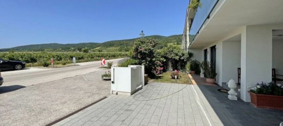 6 rooms Townhouse in Gumpoldskirchen, Austria No. 211513 5