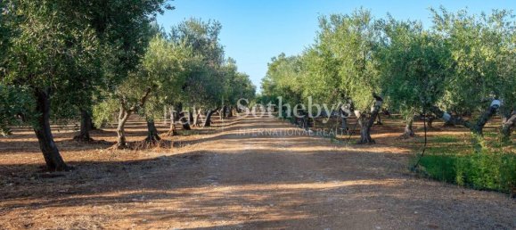 20 bedrooms House in Ostuni, Italy No. 164566 8