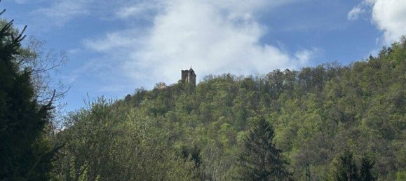  Land in Gosting, Austria No. 149406 5